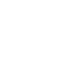 Mold-icon-2